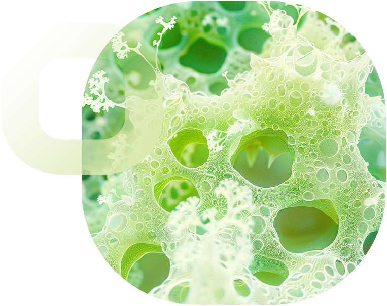 ENOQI Procurement