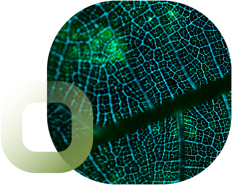ENOQI Real Time Monitoring